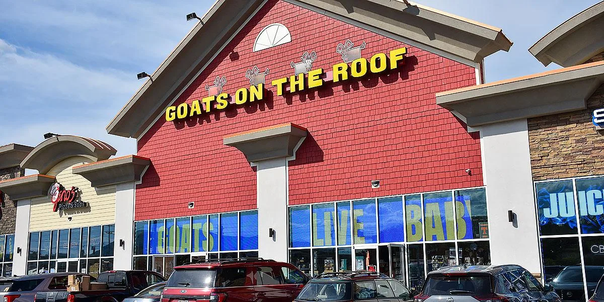 Goats on the Roof